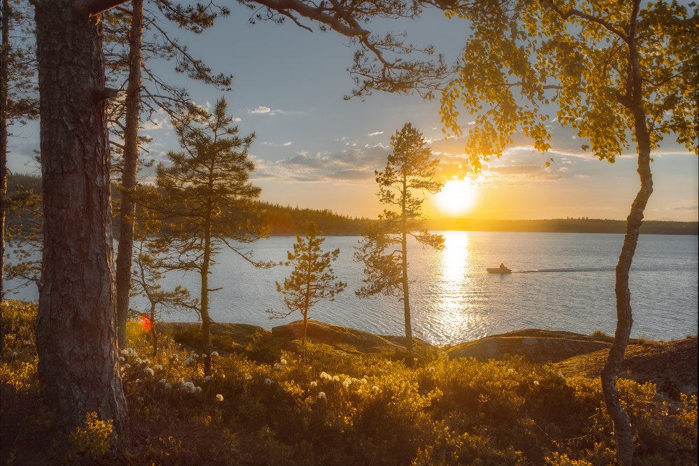 Photograph by Алексей Новиков