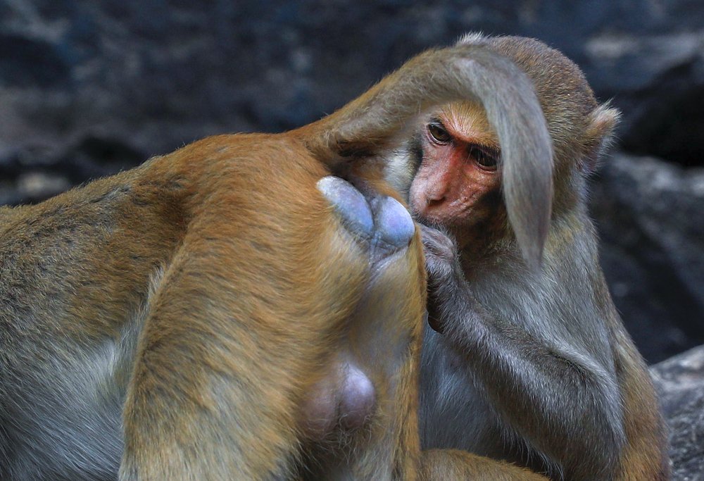 Photograph by Евгений Печенин