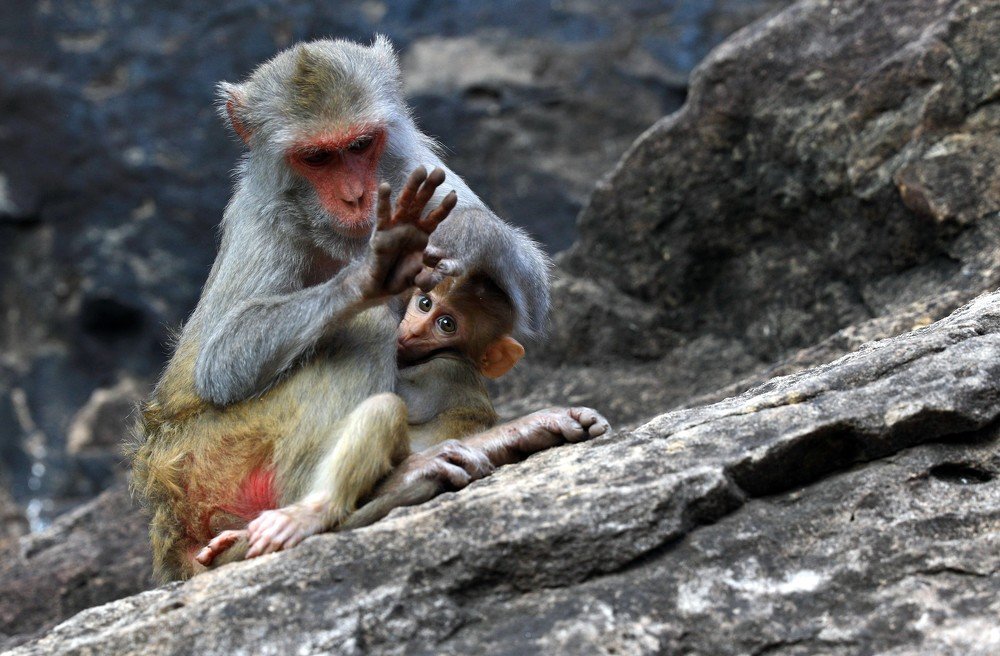 Photograph by Евгений Печенин