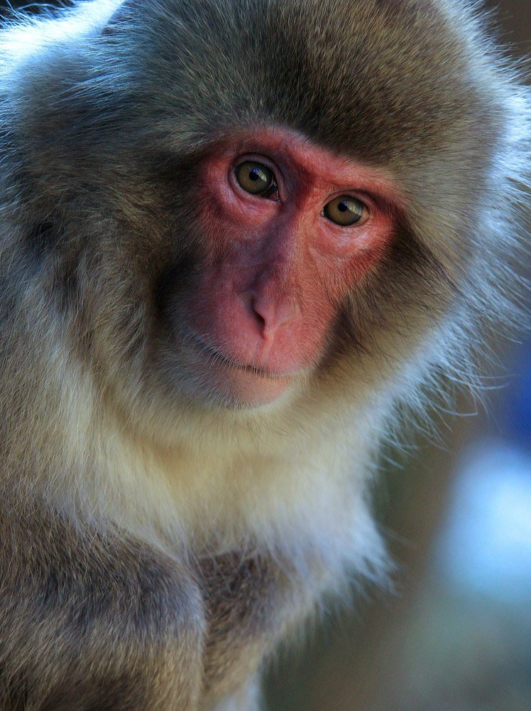 Photograph by Евгений Печенин