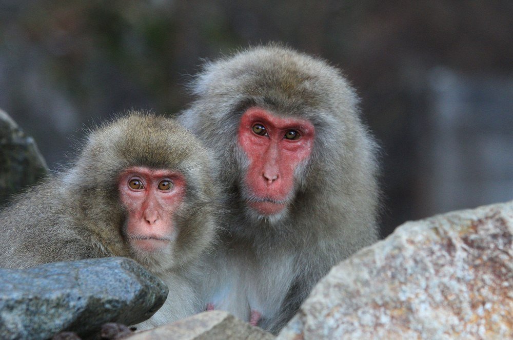 Photograph by Евгений Печенин