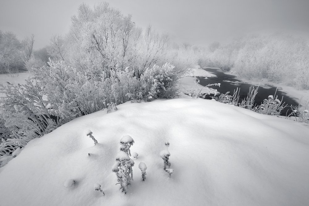 Photograph by Олег Тетерин