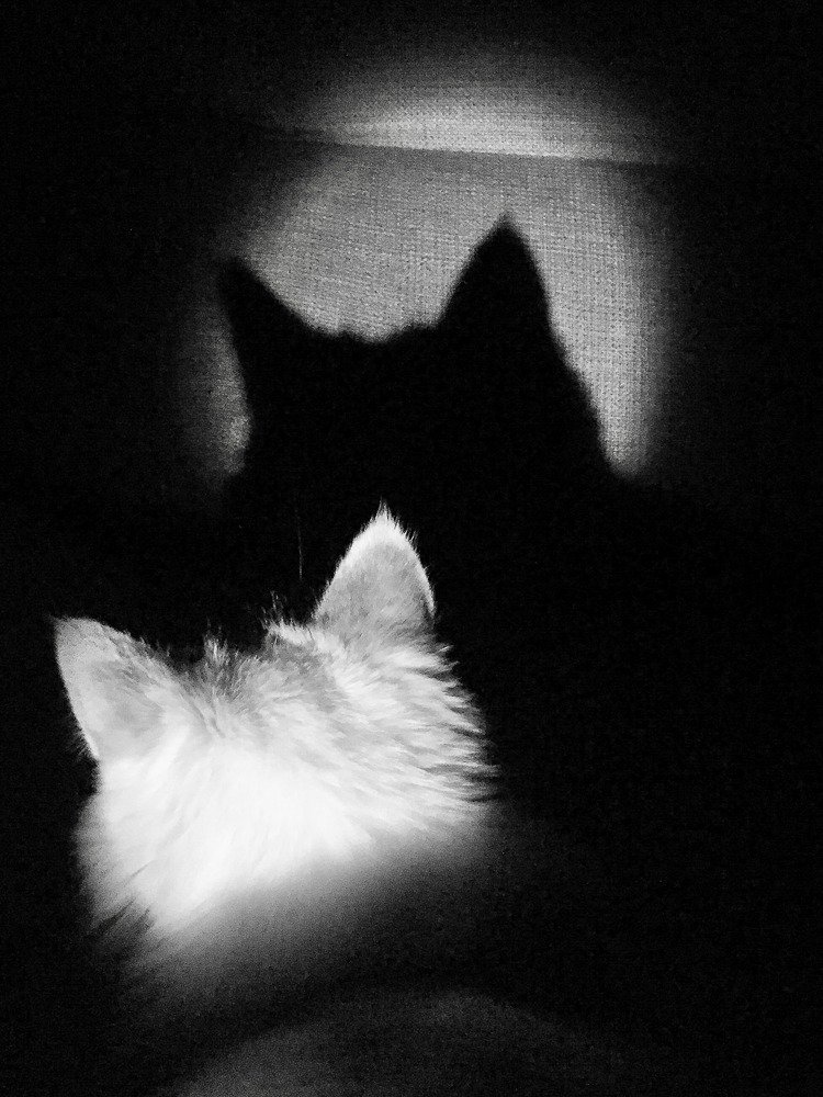 Photograph by Юлия Брежнева