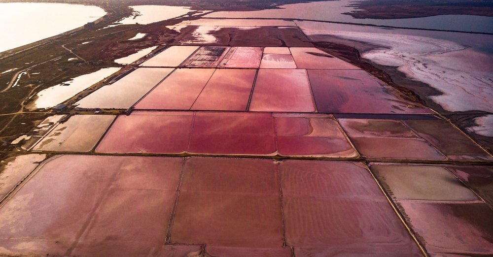 Соляная пасика