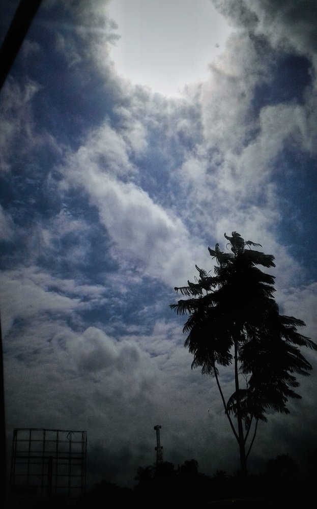 Photo #4084259