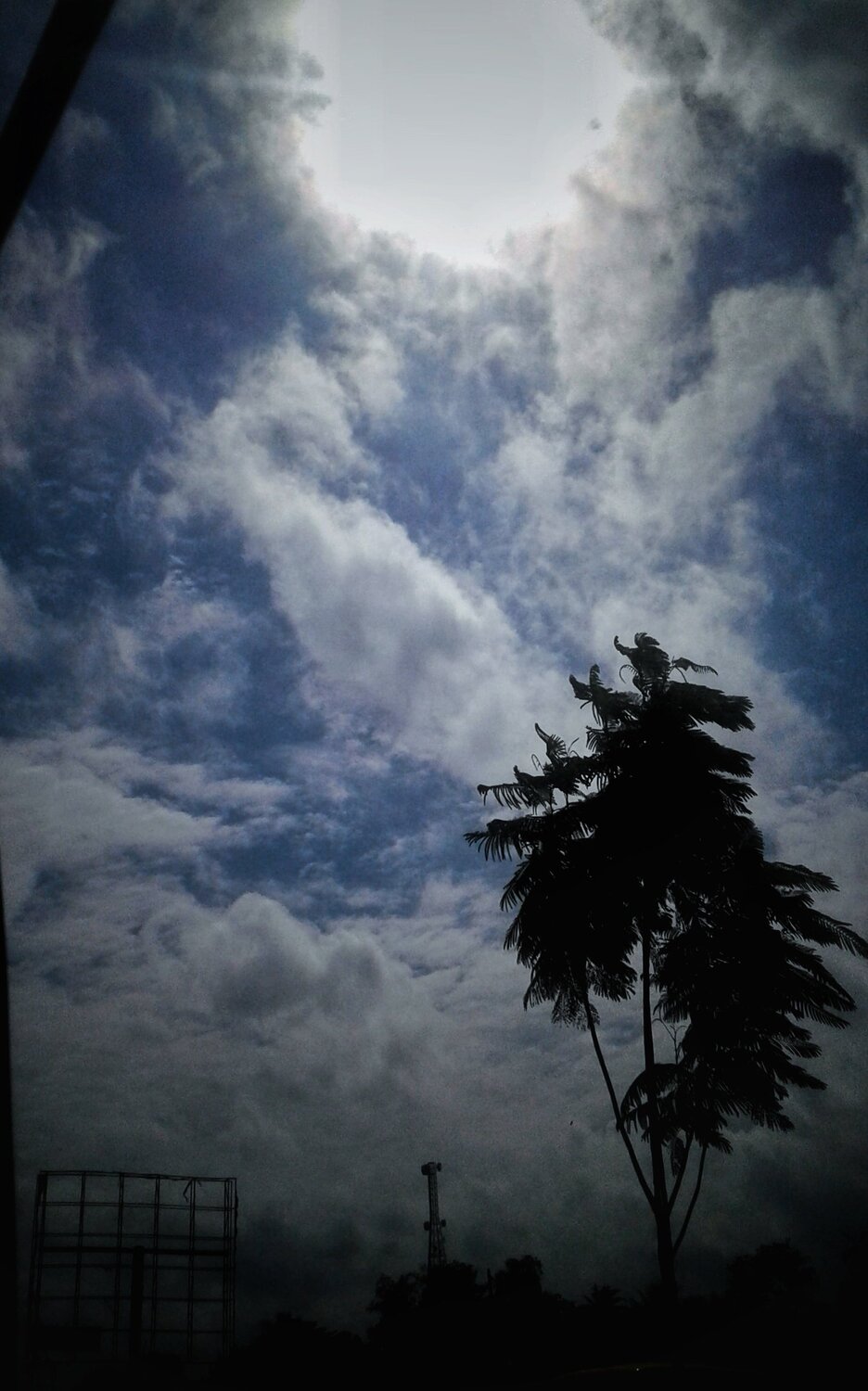 Photo #4084259