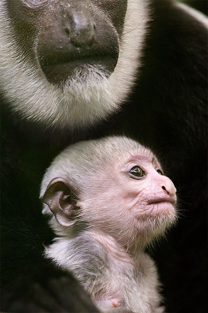 Фотография автора Павел Жигалов