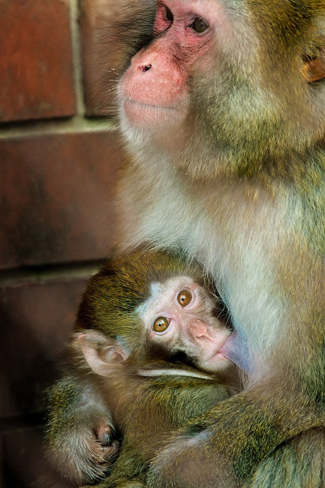 Фотография автора Павел Жигалов
