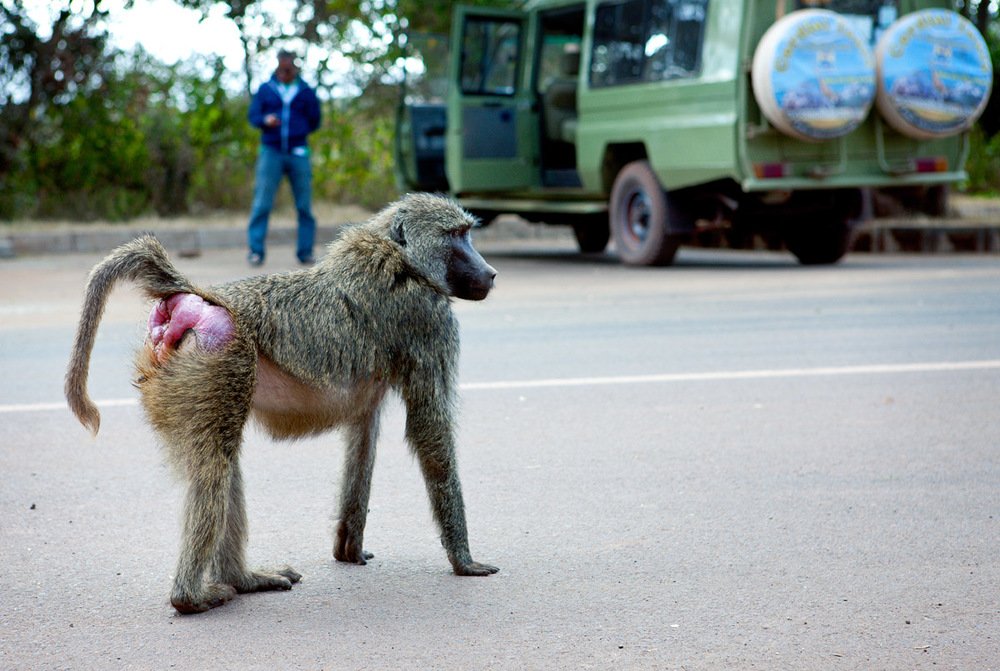 Фотография автора Павел Жигалов