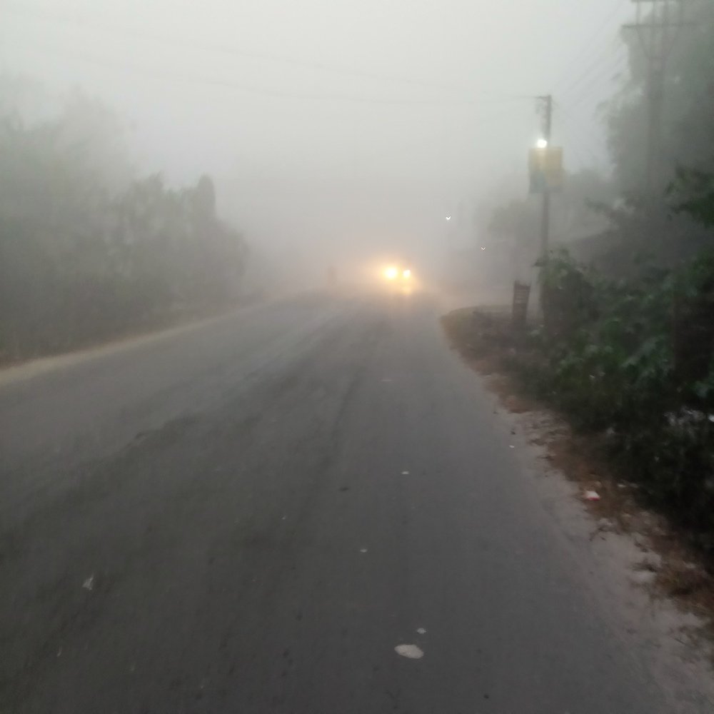 Фотография автора Tom Kottackal