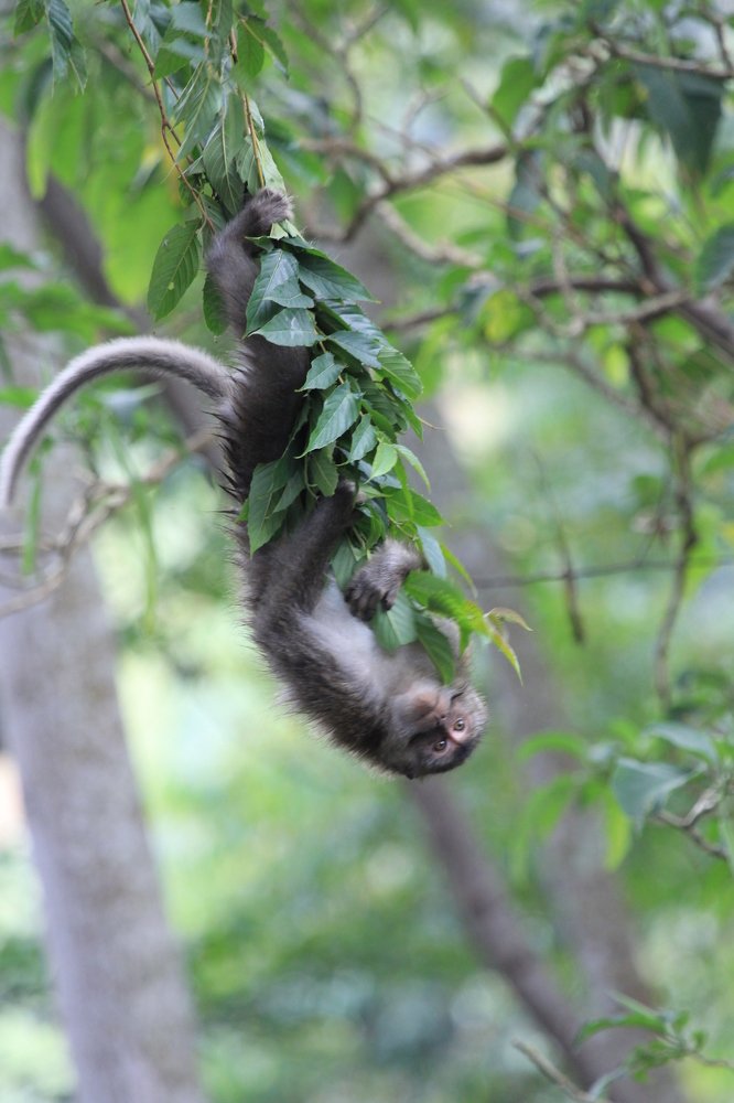 Photograph by Baraya Rocky