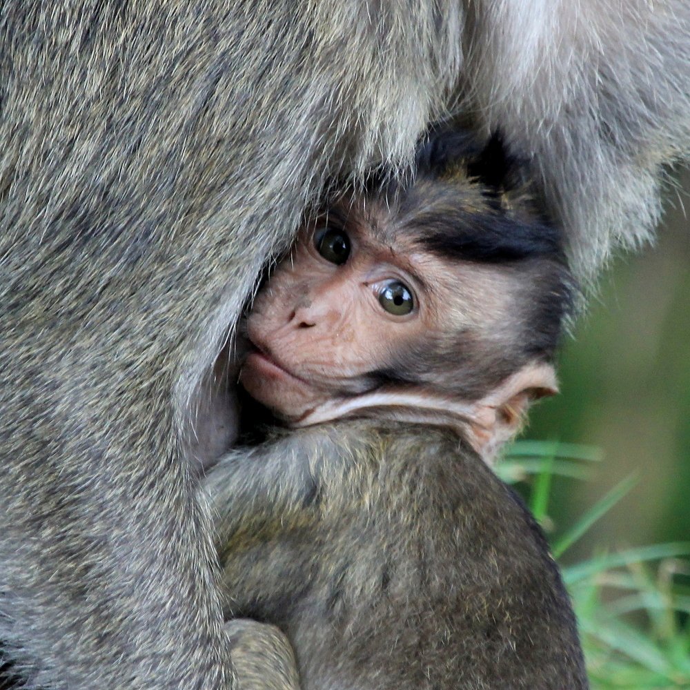 Photograph by Baraya Rocky