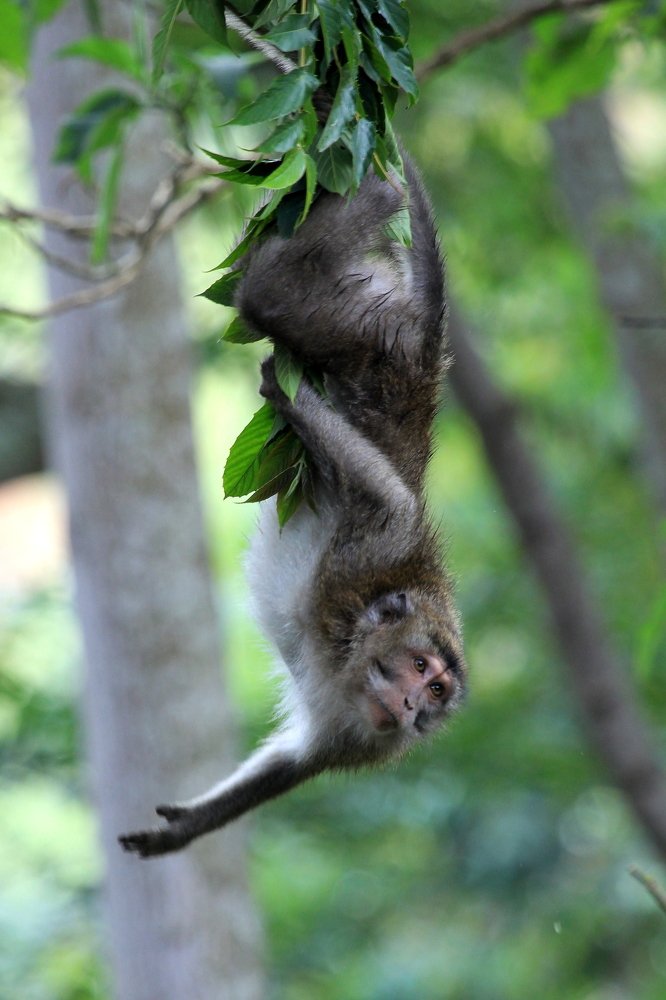 Photograph by Baraya Rocky