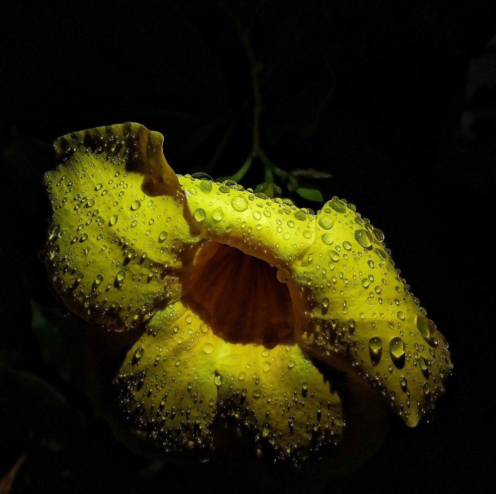 Photograph by SOURAV SINHA