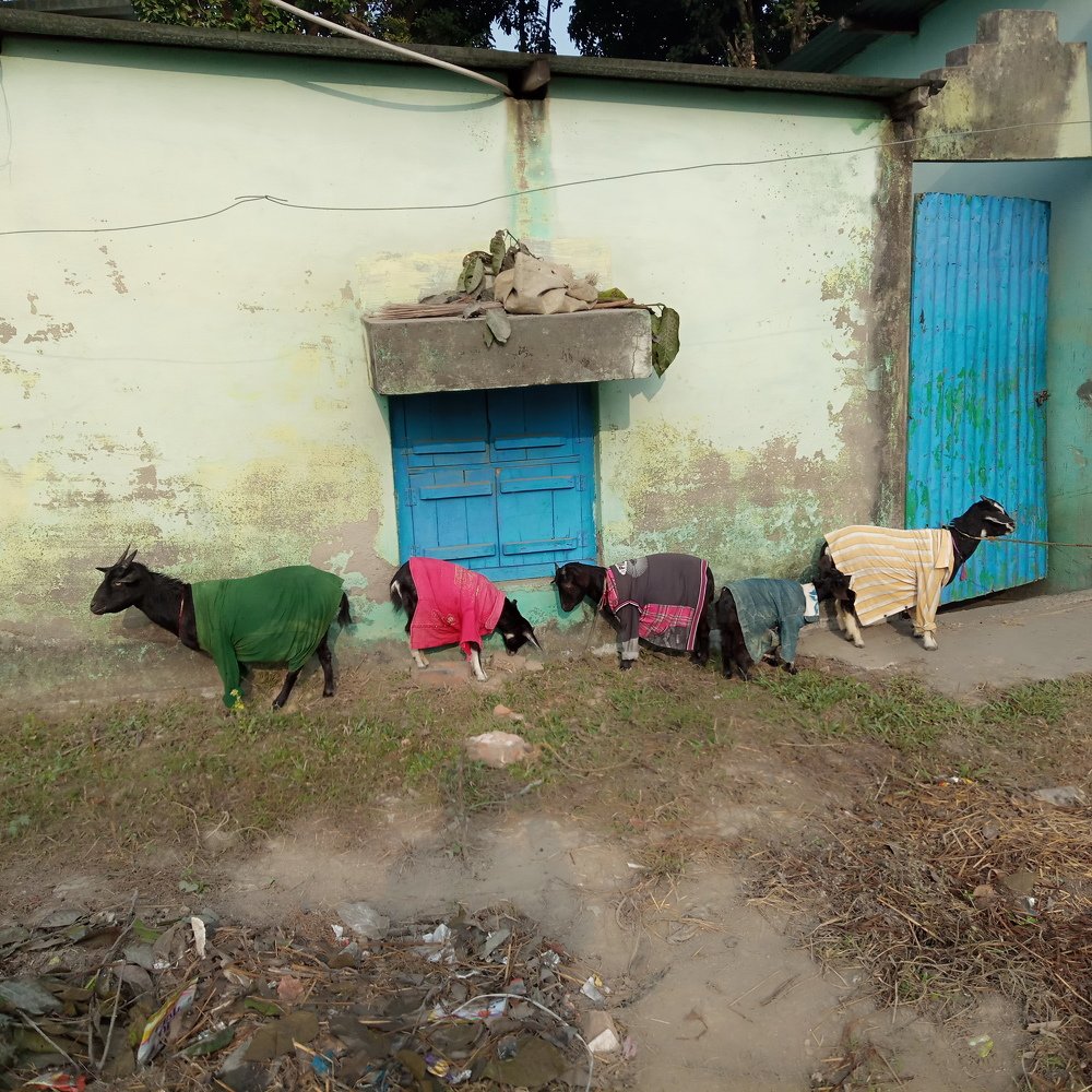 Фотография автора Tom Kottackal