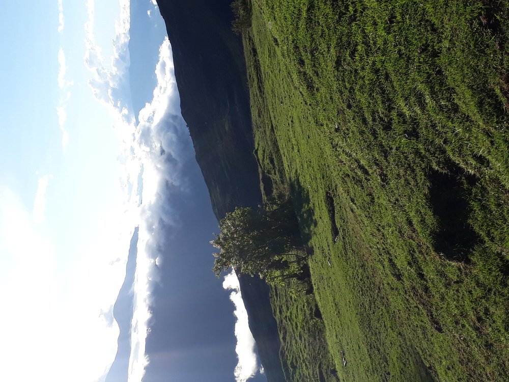 Photo #4084541