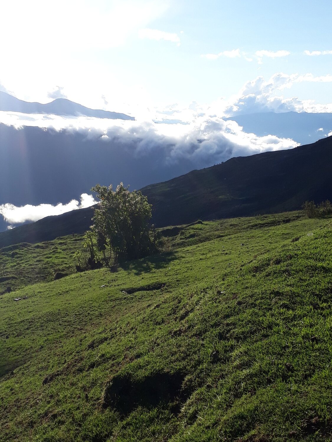 Photo #4084541