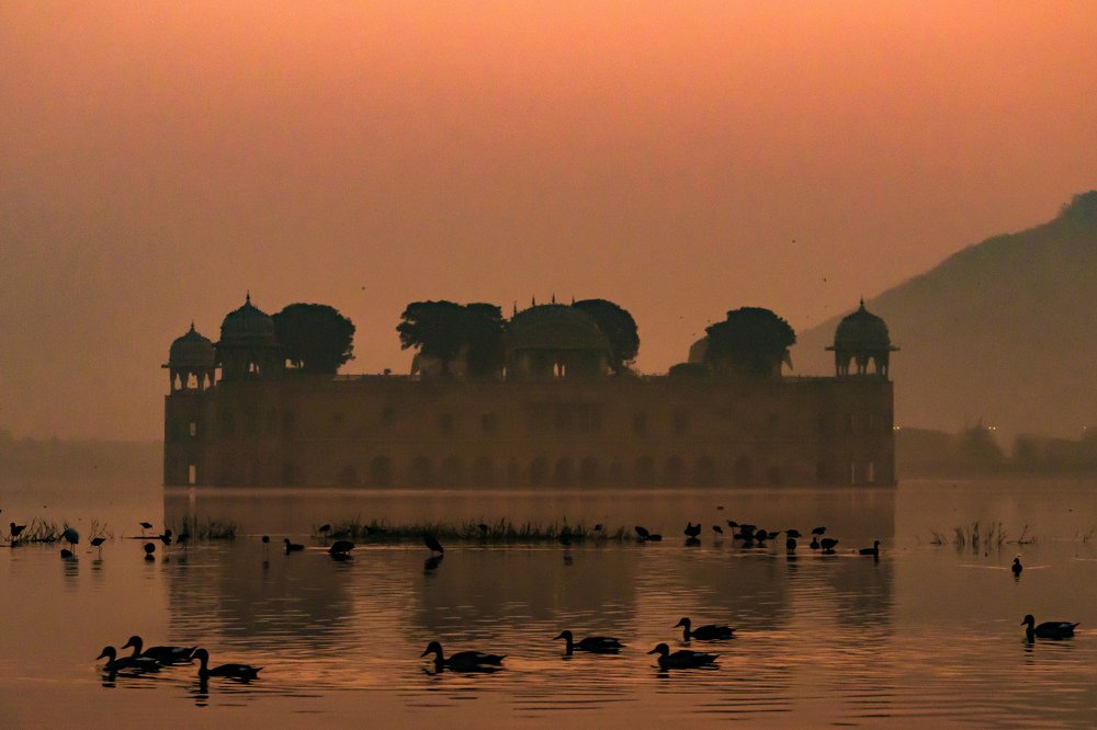 Photograph by Rishi Vyas