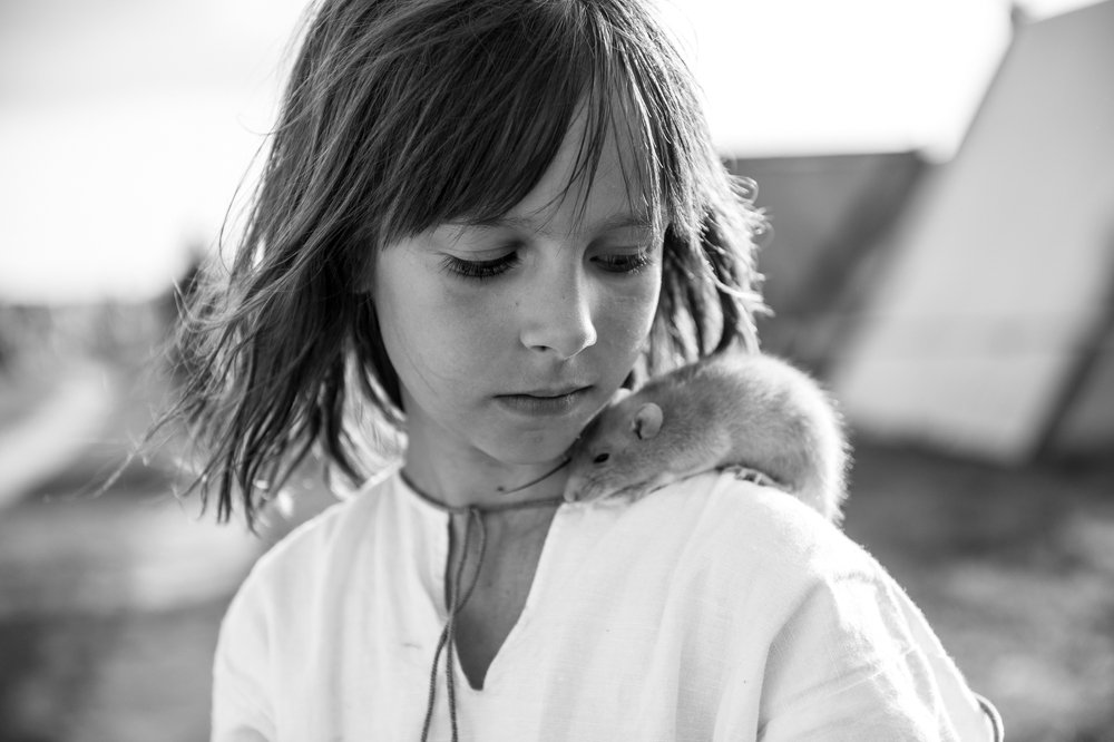 Photograph by Дмитрий Куликов