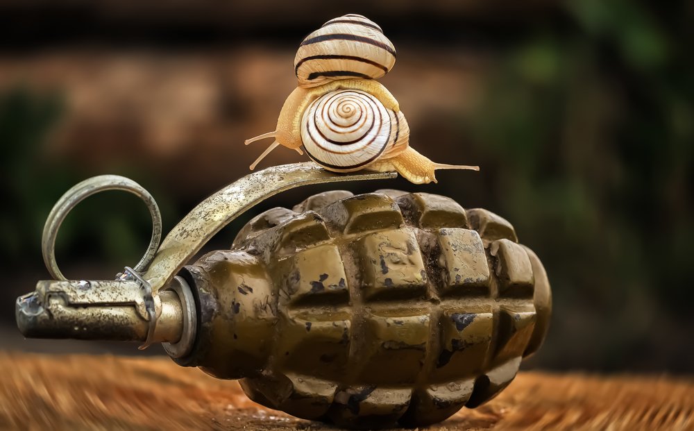 Photograph by Андрей Захарчук