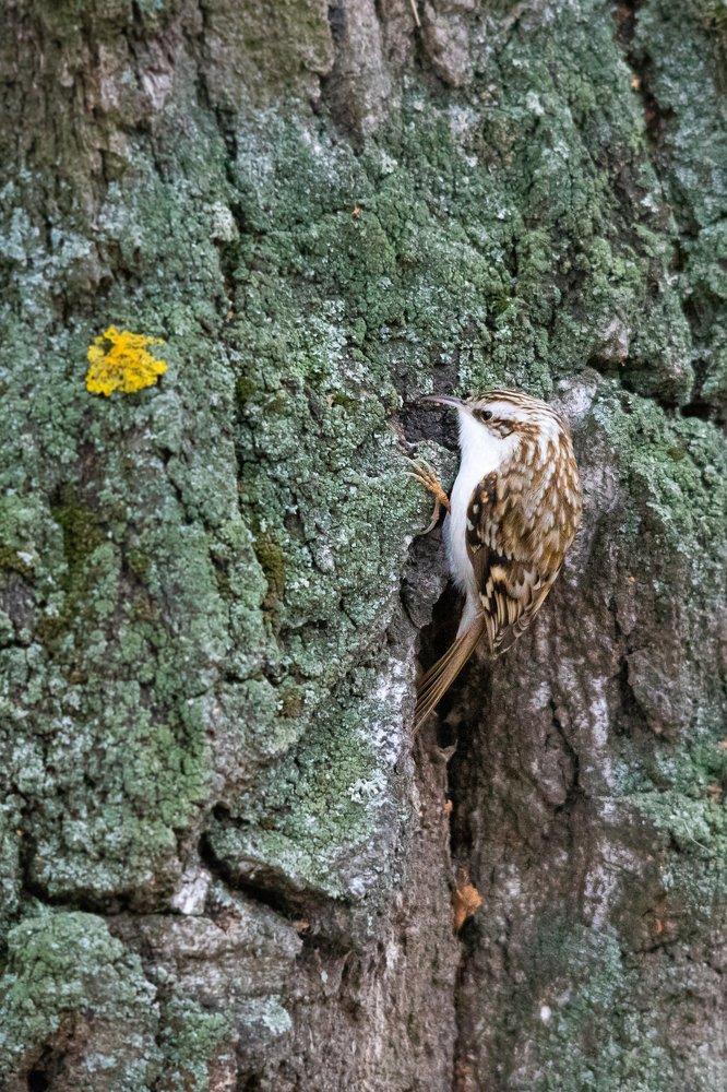 Photograph by Дмитрий Чудинин