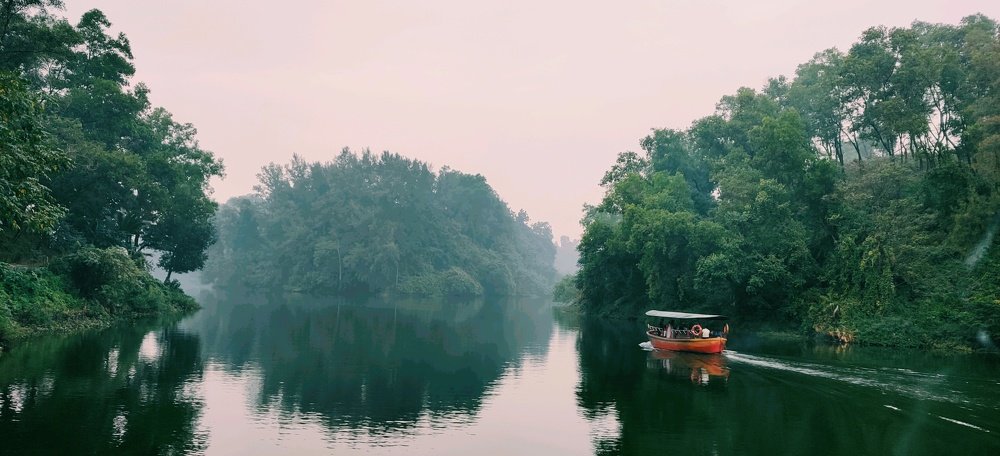 Foy's lake