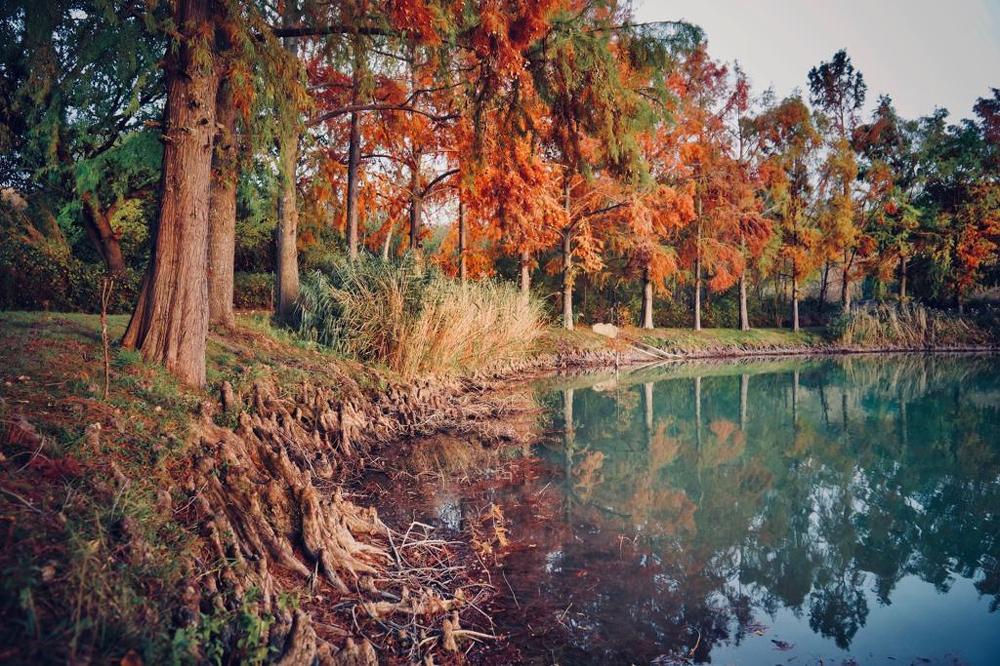 Photograph by Марина Неберекутина