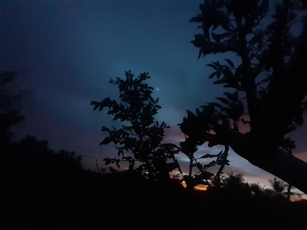 Photo #4085060
