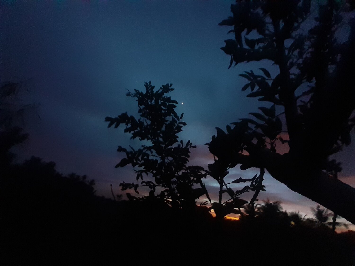 Photo #4085060