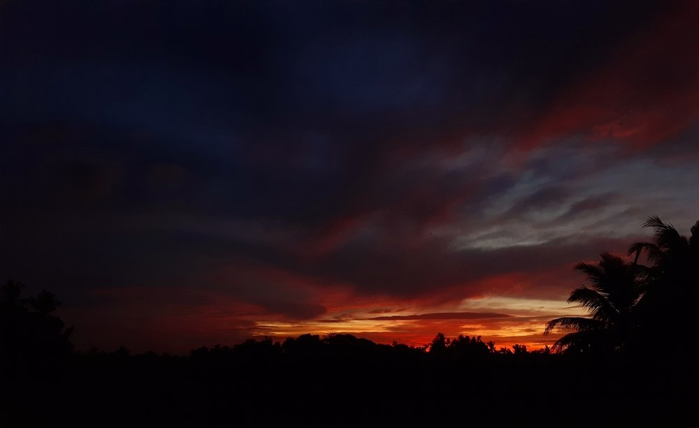 Photo #4085062