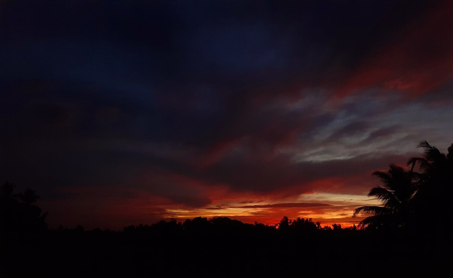 Photo #4085062