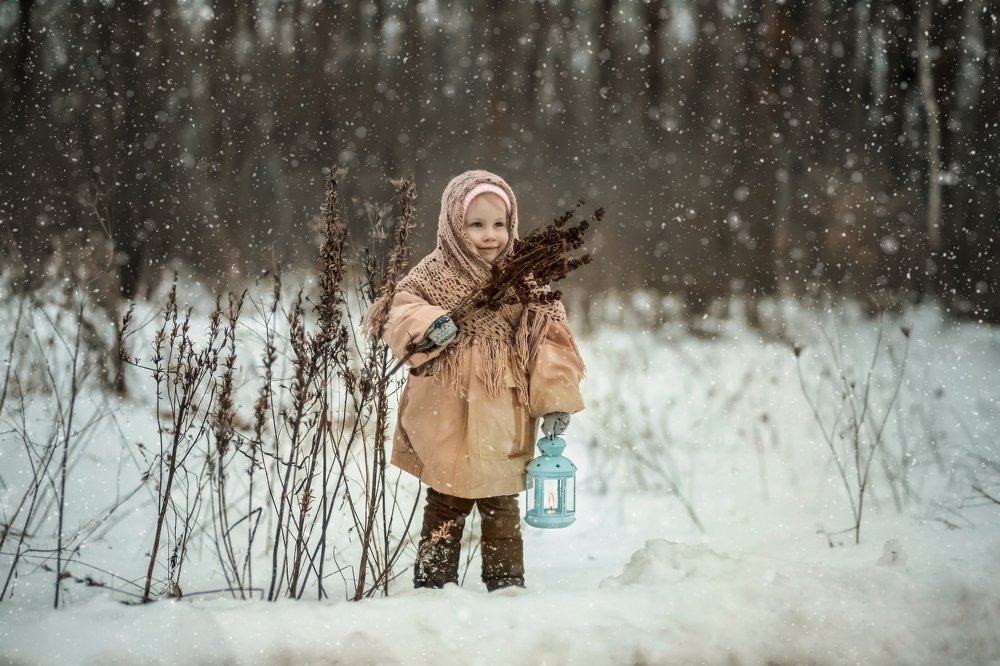 Снежным днём