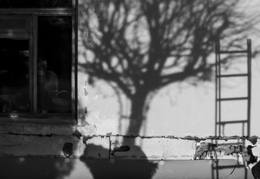 Photograph by Алексей Сыров