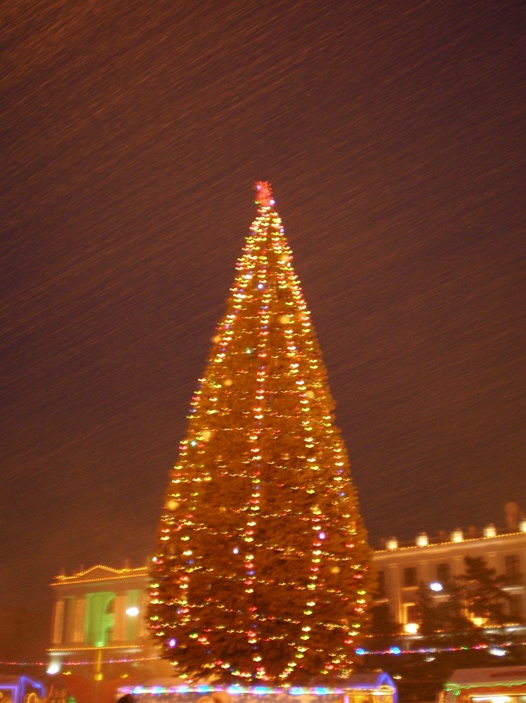 Photograph by Алия Байсыкова