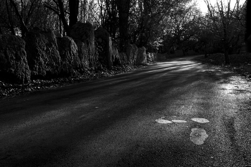 Photograph by mohammad saberi