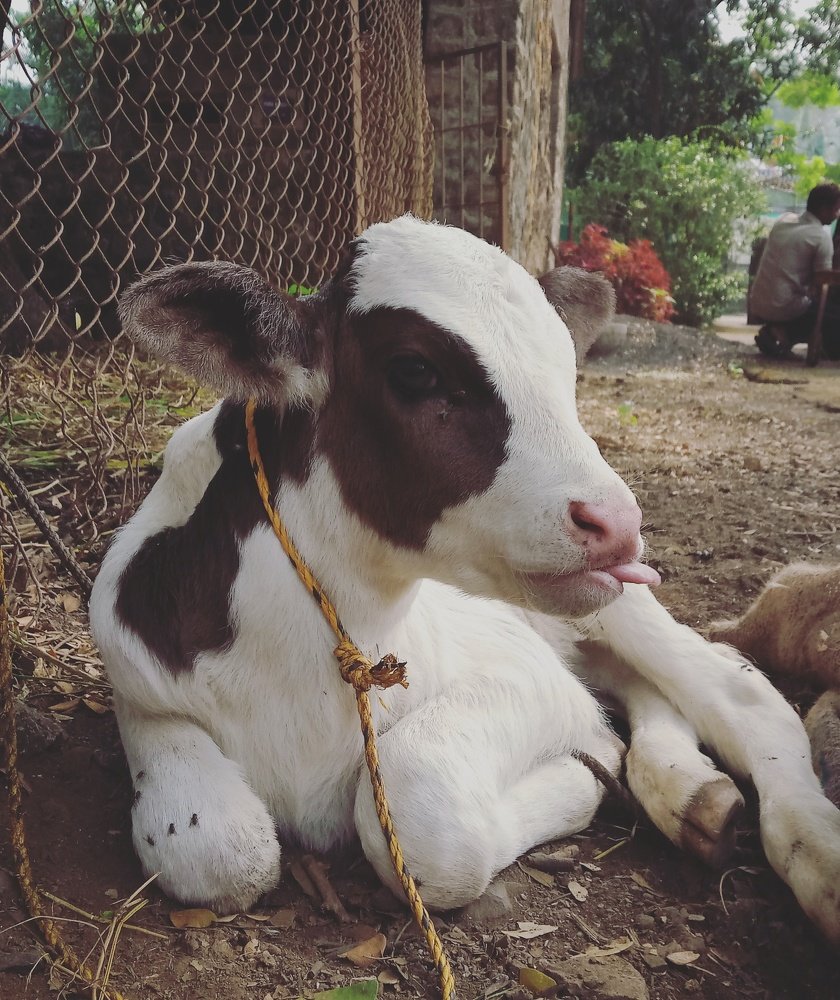 Фотография автора Sankalp Suradkar