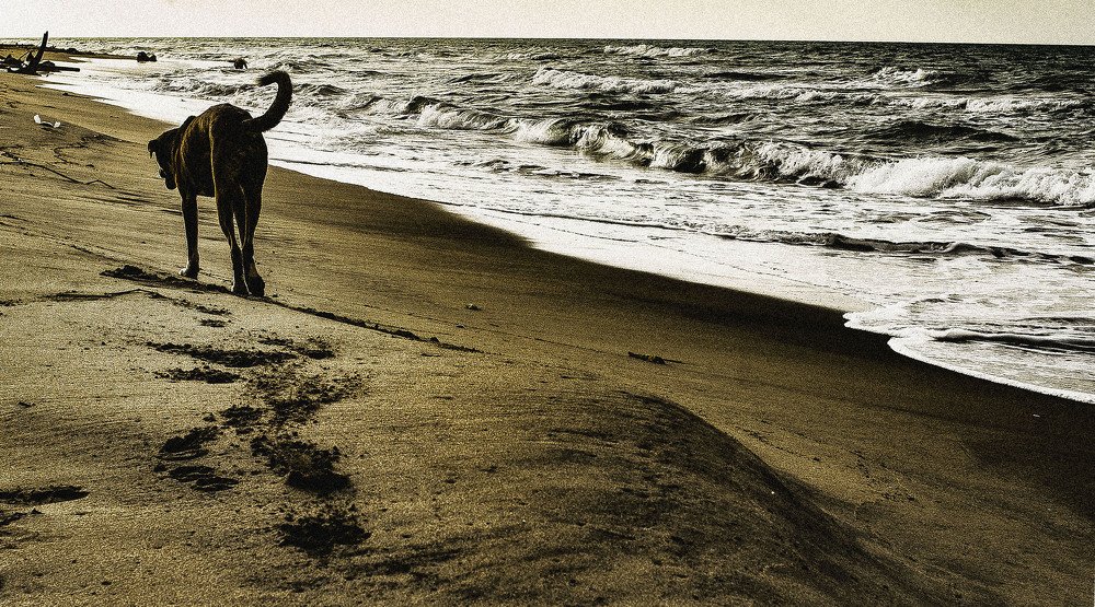 Photograph by Tairon Cervantes