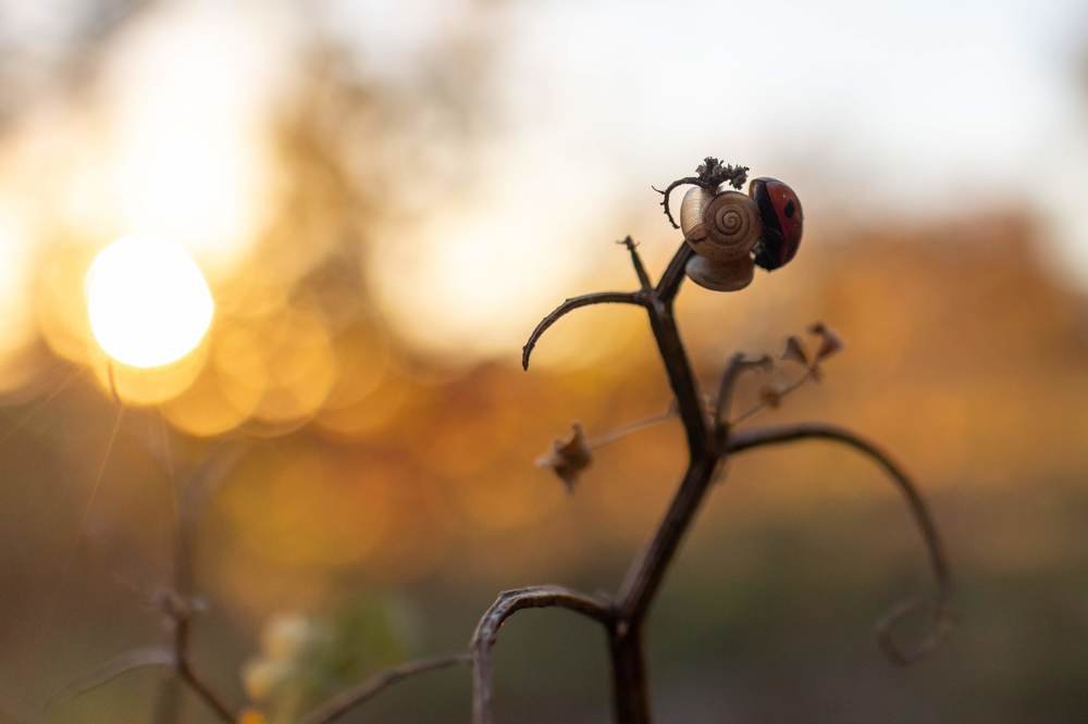 Photograph by Sergey Pavlov