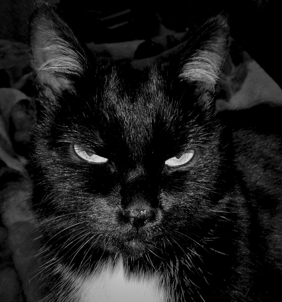 Photograph by Алия Байсыкова