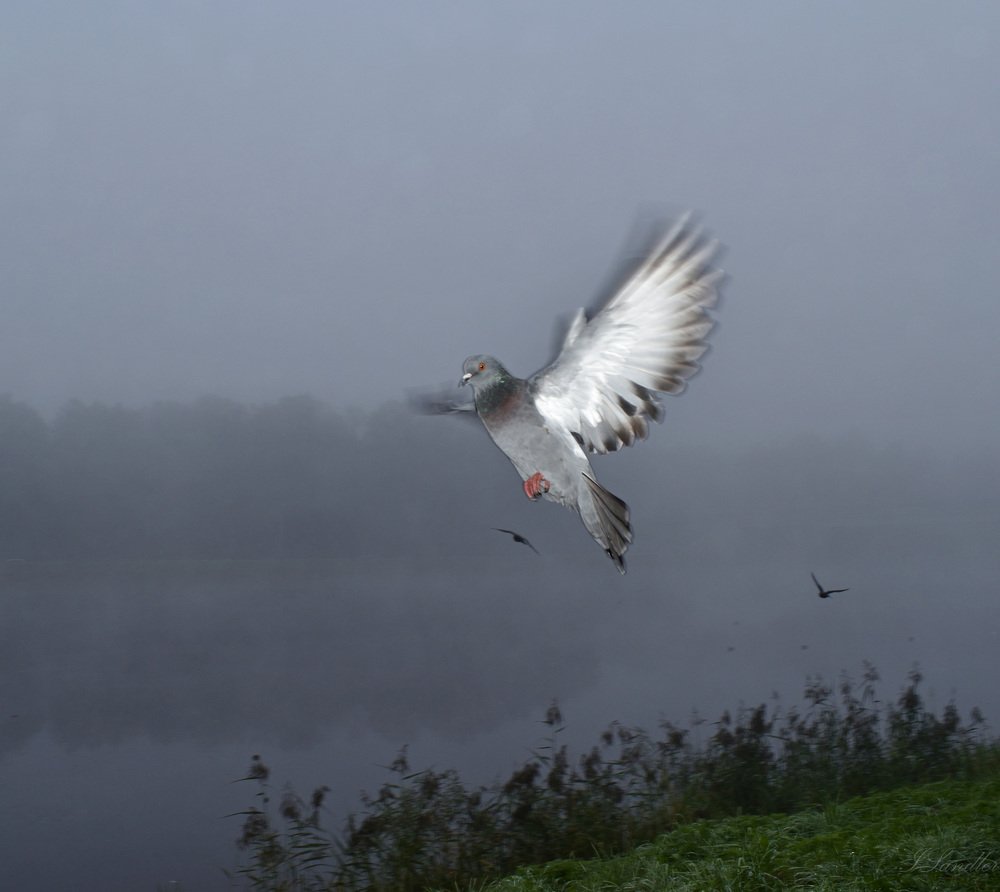 Photograph by Илья Сандлер