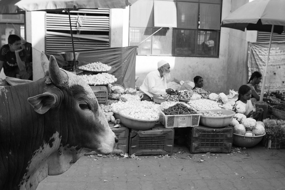 Photograph by Faletkin Mikhail