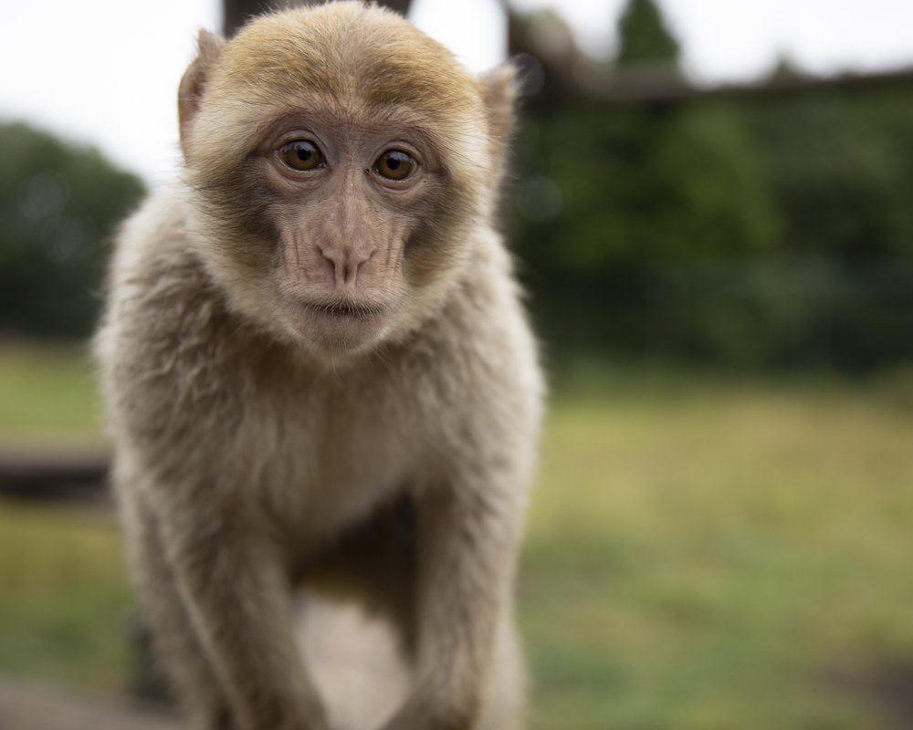 Photograph by Nina Krømer