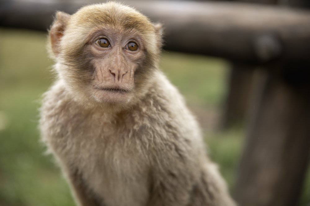 Photograph by Nina Krømer