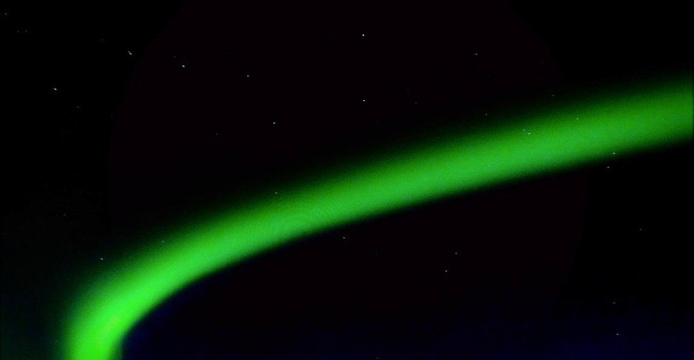 медведица. URSA.