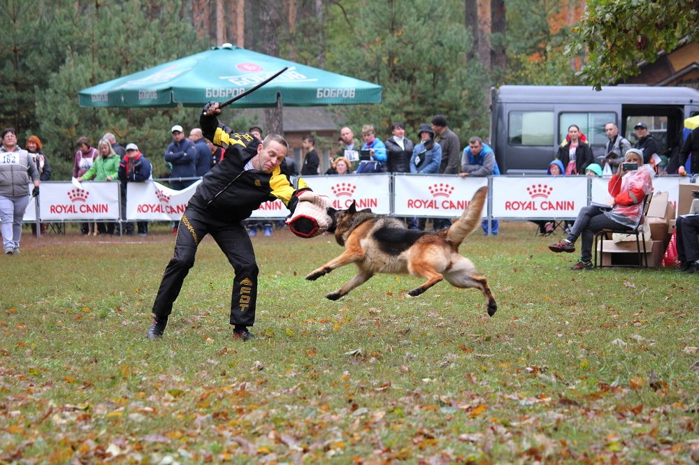 Photograph by Олег