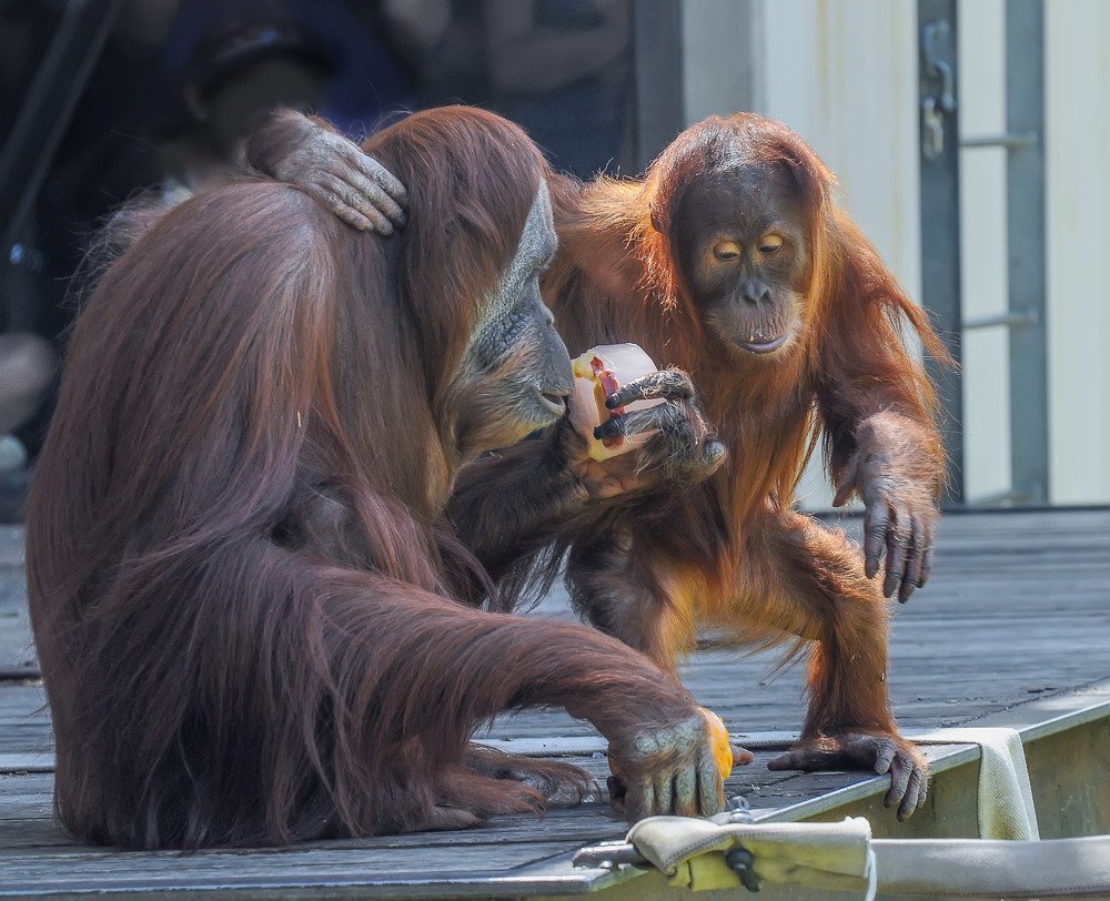 Photograph by Зоя Куренкова