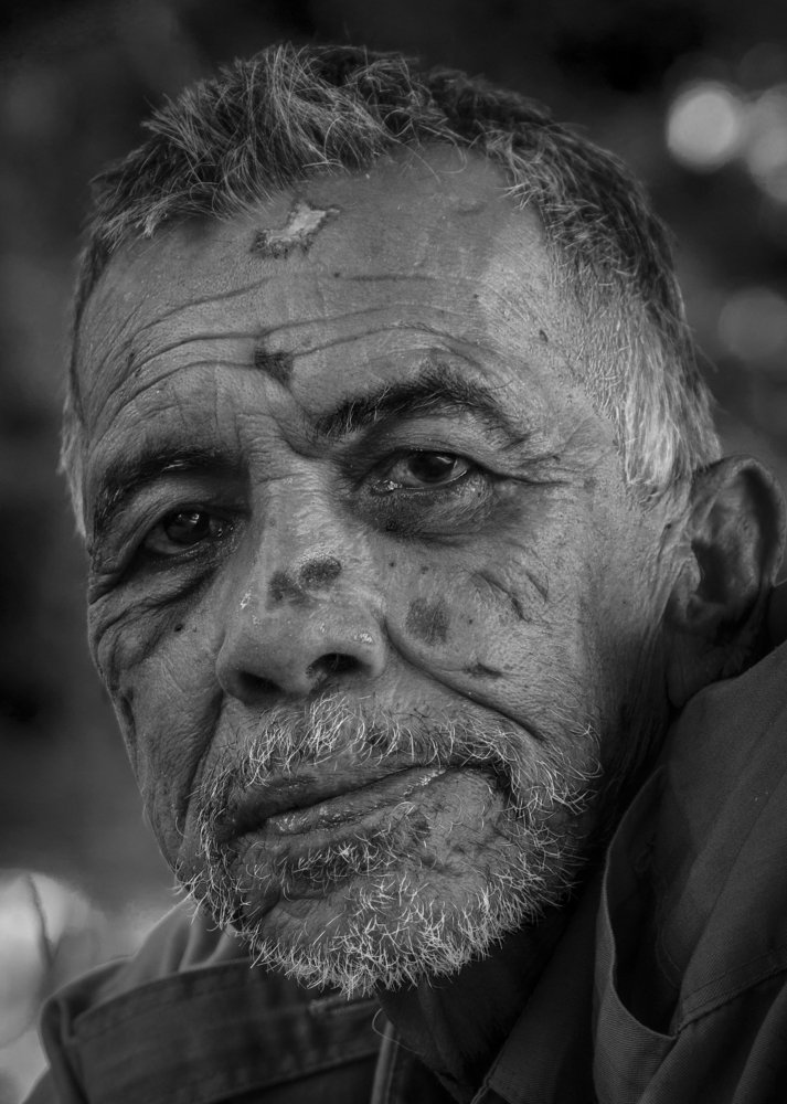 Photograph by Balazs Emese