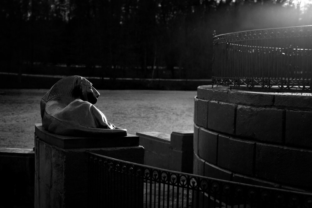 Вековой страж