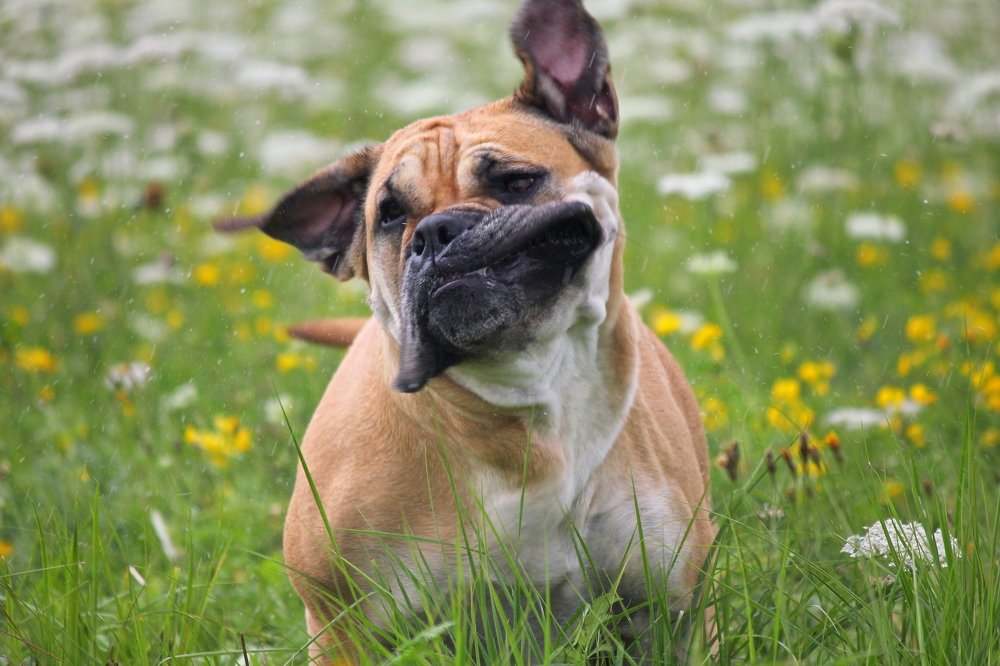 Photograph by Олег