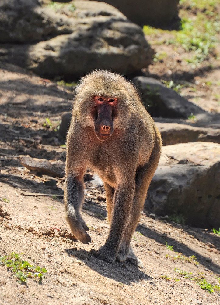 Photograph by Зоя Куренкова